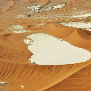 Scenic Flight - Dead Vlei